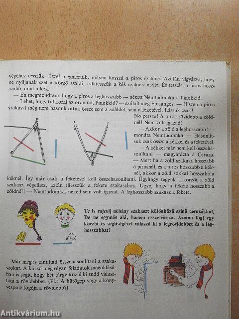 Pontok, vonalak, idomok