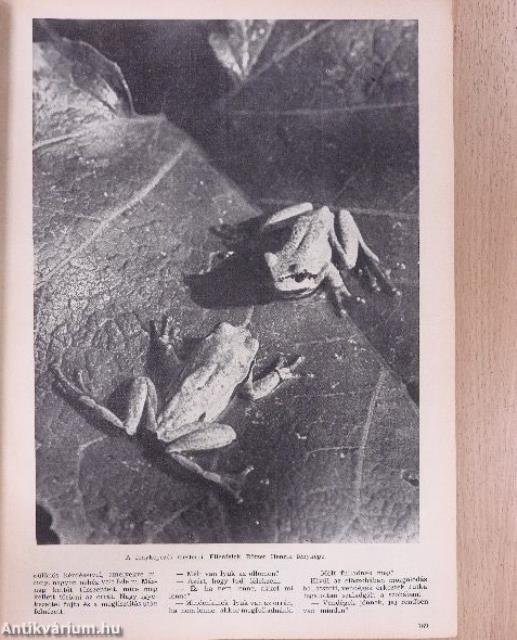 Uj Idők 1942. június-december (fél évfolyam)