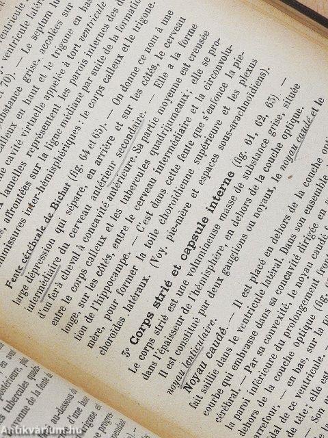 Précis d'anatomie et de dissection I.