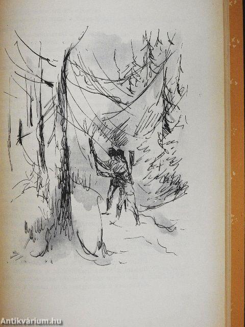 Az elátkozott család/A barátfalvi Lévita