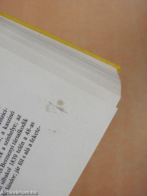 Reformkori magyar városrajzok