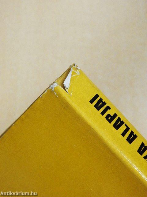 A kibernetika alapjai