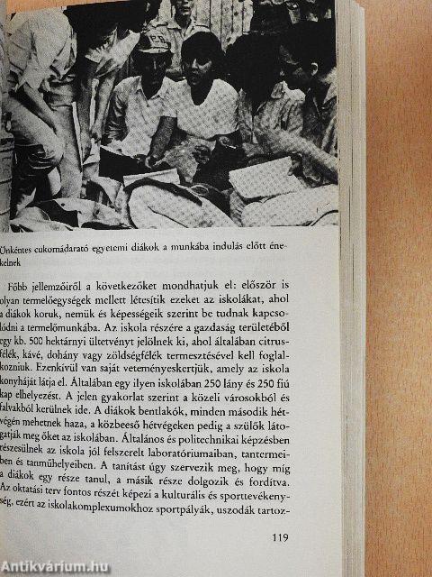 Az ifjúság szigete