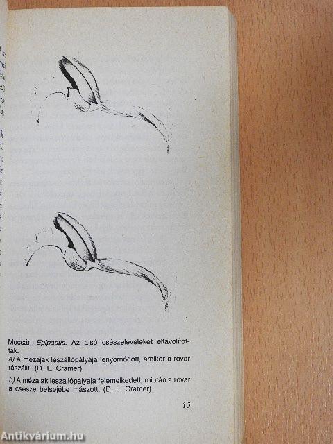 A panda hüvelykujja