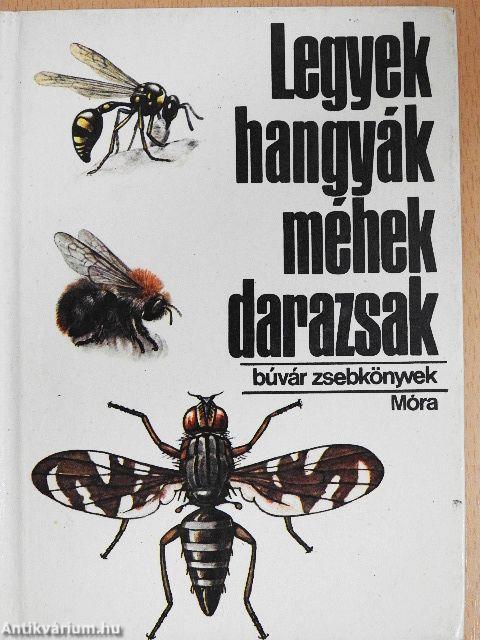 Legyek, hangyák, méhek, darazsak