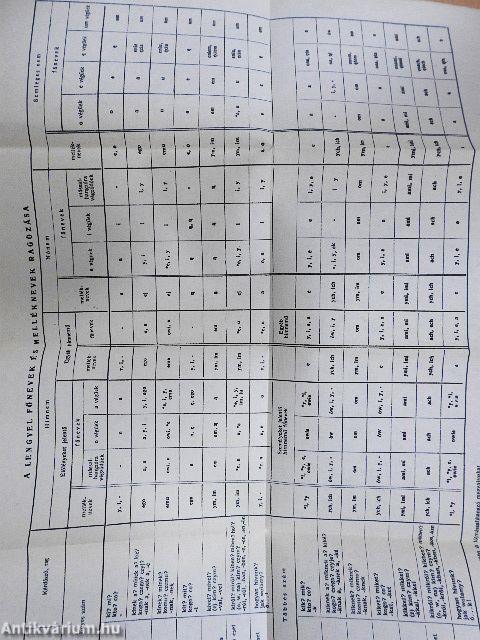 Magyar-lengyel szótár