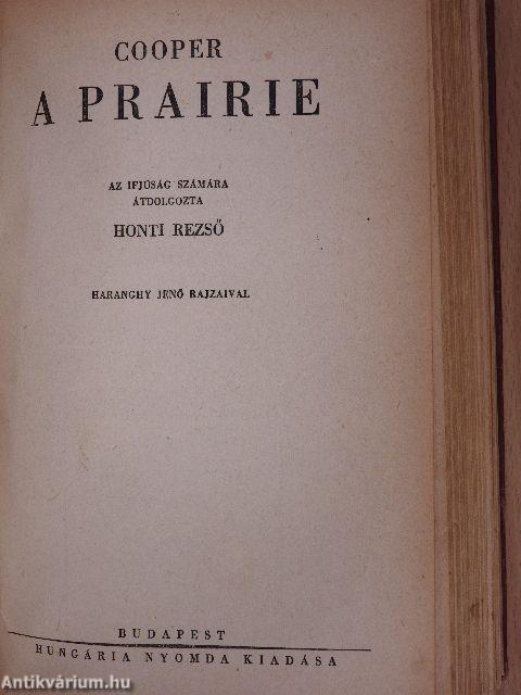 A nagy indiánuskönyv