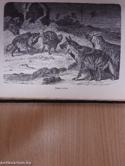 Brehm - Az állatok világa 2.