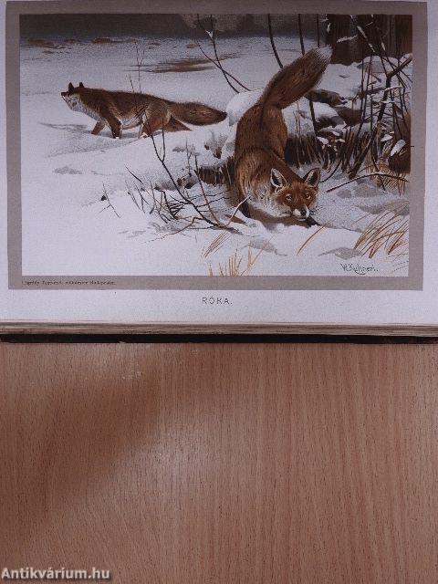 Brehm - Az állatok világa 2.