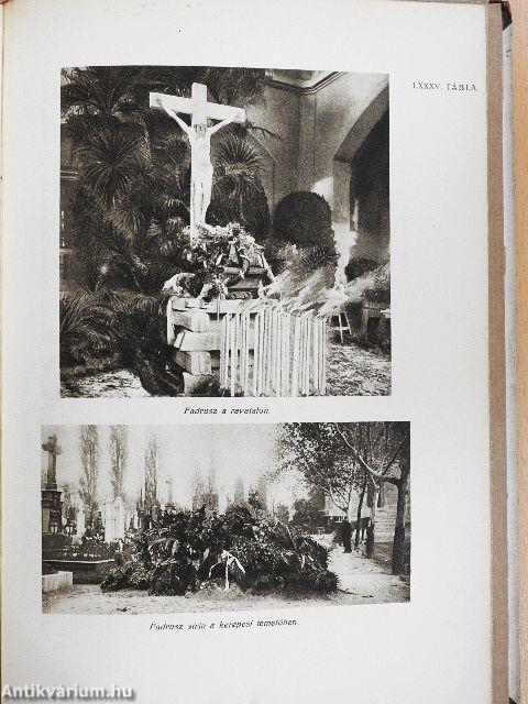 Fadrusz János élete és művészete