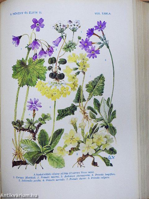 A növény és élete I-II.