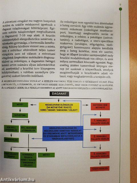 Molekuláris diagnosztika és célzott kezelések