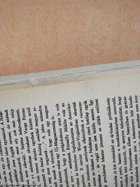 Amerikai magyar történetek