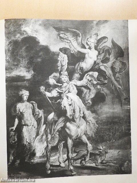 Rubens Medici-galériája