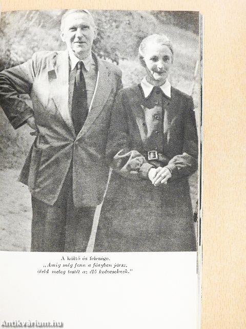 Áprily Lajos alkotásai és vallomásai tükrében