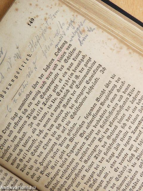 System der Phrenologie (gótbetűs)