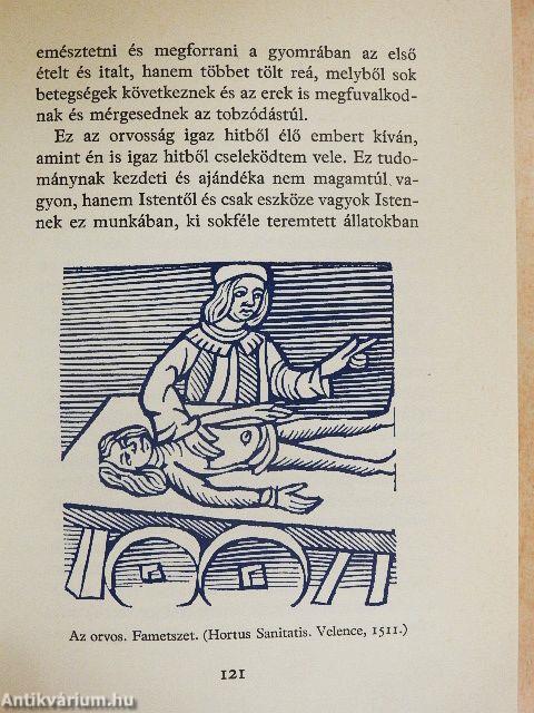 "Minden doktorságot csak ebből késértek"