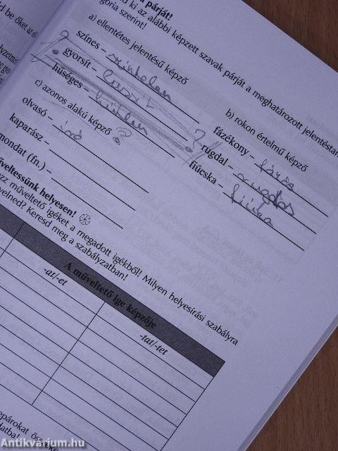 Magyar nyelv és kommunikáció - Munkafüzet a 9. évfolyam számára