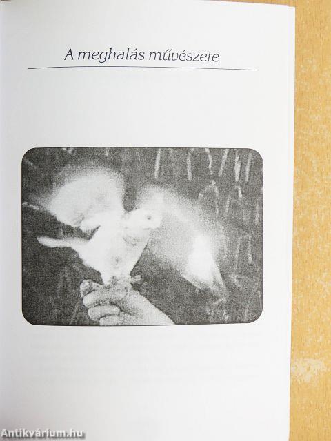 A gyógyító halál