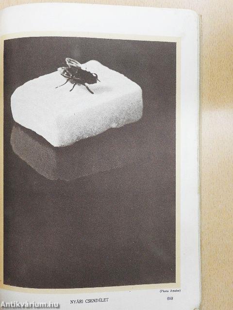 Lantos Magazin 1929. julius 15.