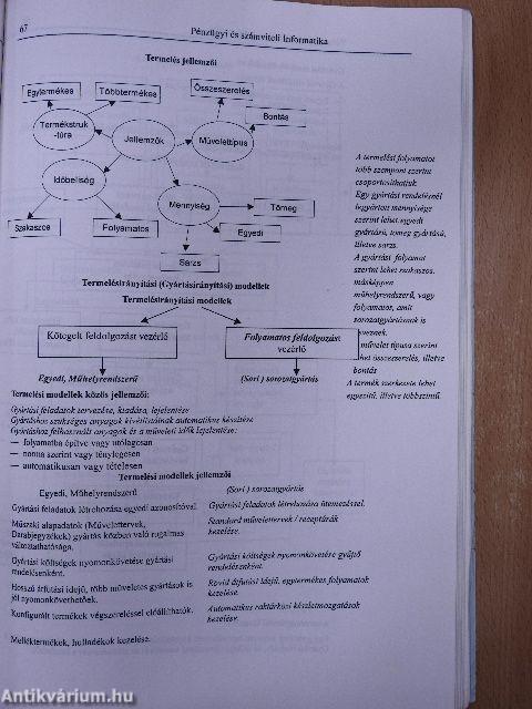 Pénzügyi számviteli informatika I.