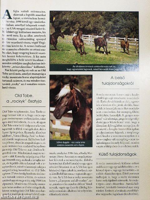 Nemzetközi Lovas Magazin 2001. január-december