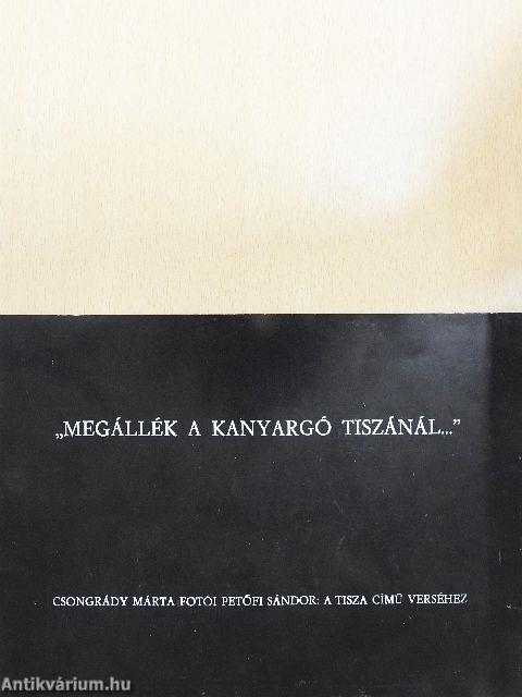 "Megállék a kanyargó Tiszánál---"