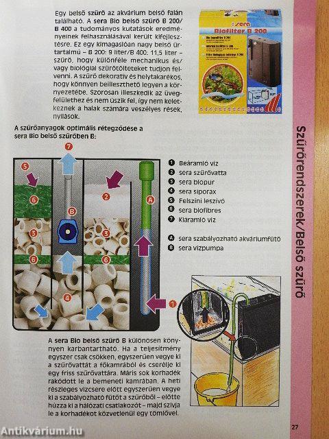 Az akvárium természethű ápolása és a vízszűrés