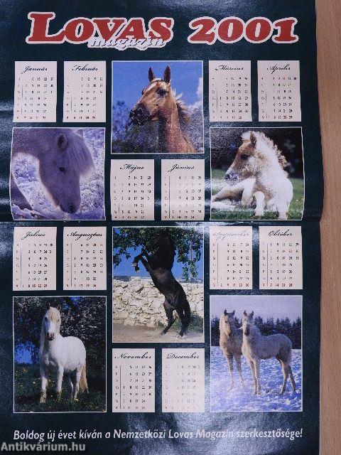 Nemzetközi Lovas Magazin 2001. január-december