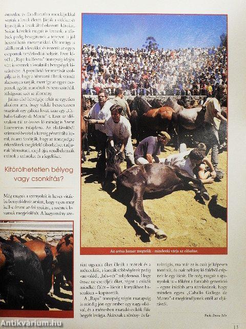 Nemzetközi Lovas Magazin 2000. (nem teljes évfolyam)
