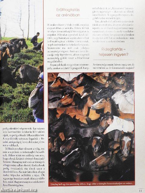 Nemzetközi Lovas Magazin 2000. (nem teljes évfolyam)