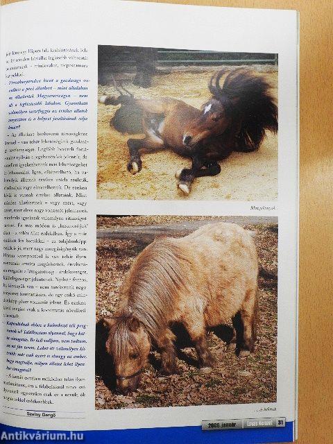 Lovas Nemzet 2006. (nem teljes évfolyam)