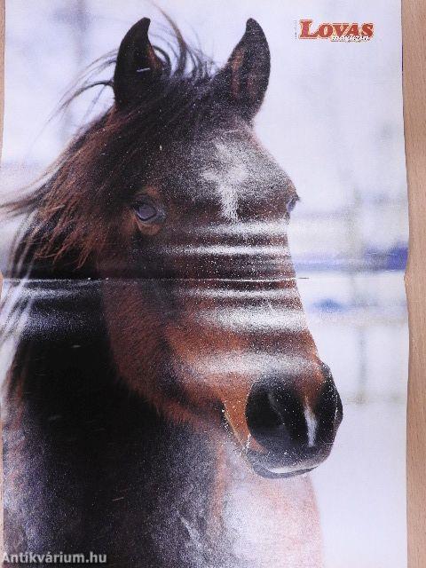 Nemzetközi Lovas Magazin 2000. (nem teljes évfolyam)