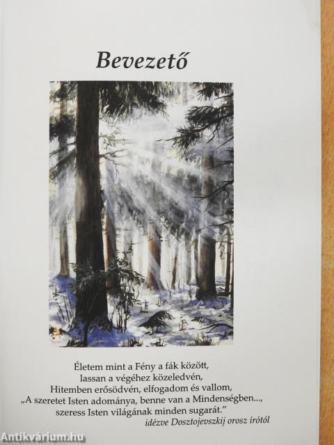 Igaz mesék a fény útján (dedikált példány)