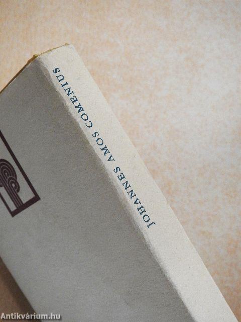 A világ útvesztője és a szív paradicsoma