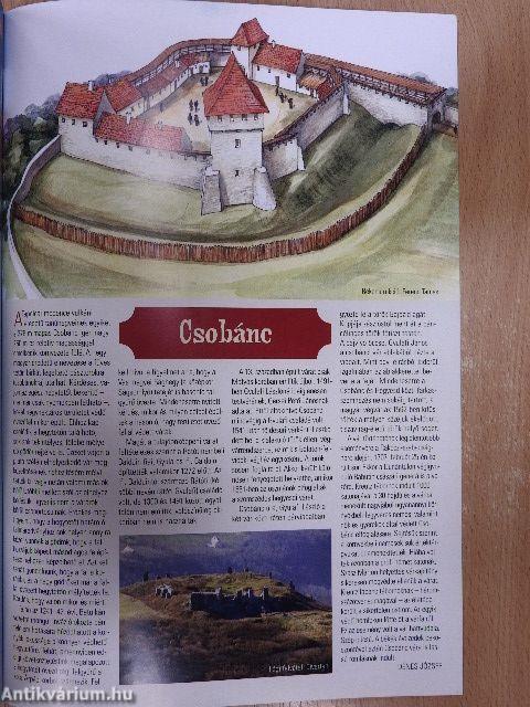 Rubicon 2011. (nem teljes évfolyam)