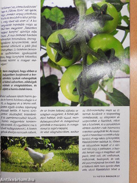 TV Paprika Magazin 2009. június