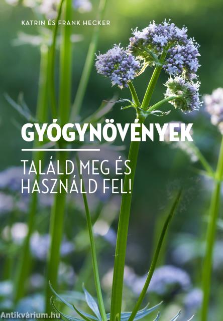 Gyógynövények Találd meg és használd fel!