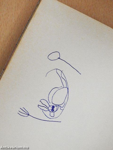 Paprikás, a buta nyúl