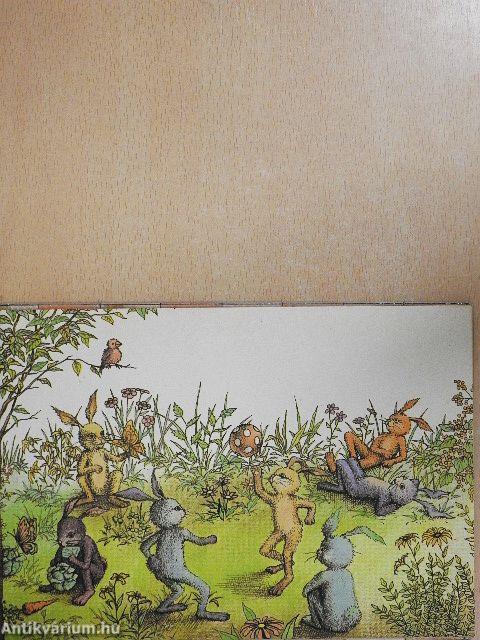 Paprikás, a buta nyúl