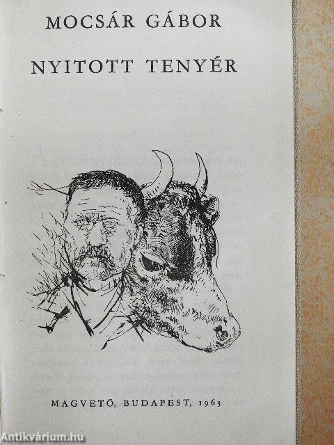 Nyitott tenyér