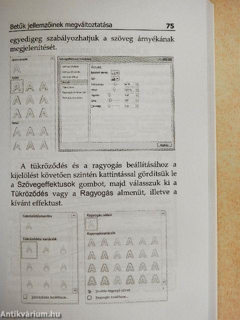 Microsoft Word 2010 zsebkönyv