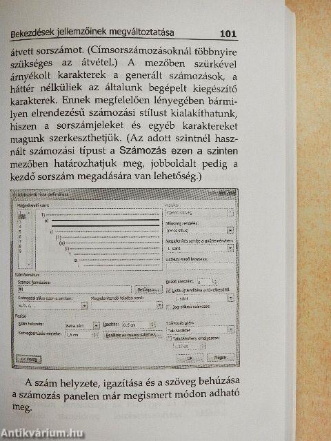 Microsoft Word 2010 zsebkönyv