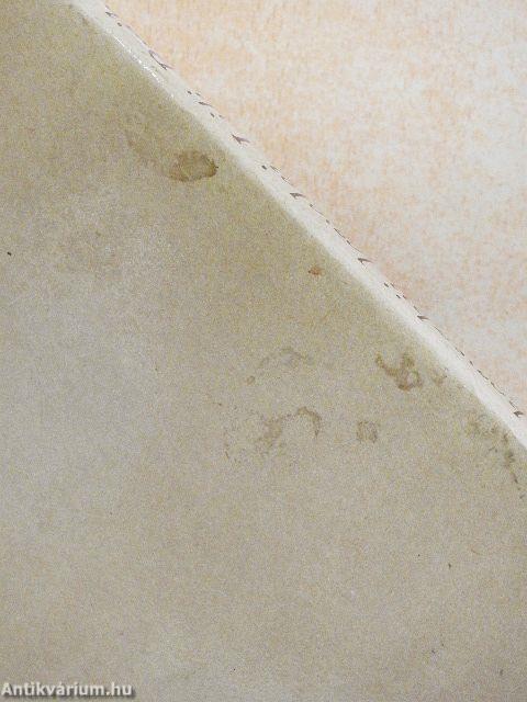 Majakovszkij levelei Lili Brikhez