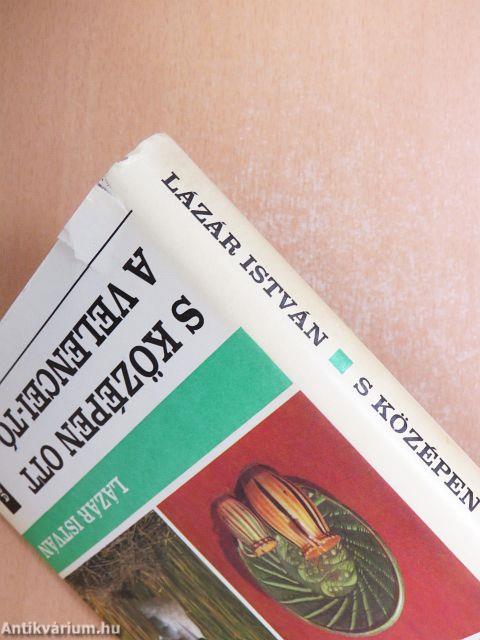 S középen ott a Velencei-tó...