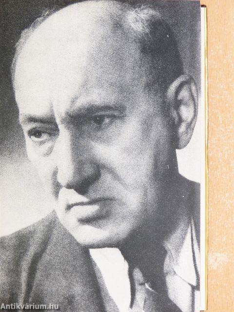 A menekülő ember