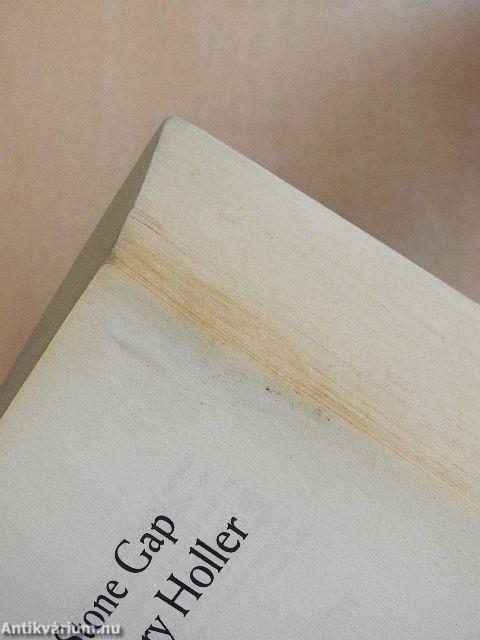 Big Stone Gap/Big Cherry Holler