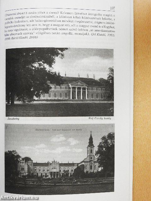 Kortárs 2010. február