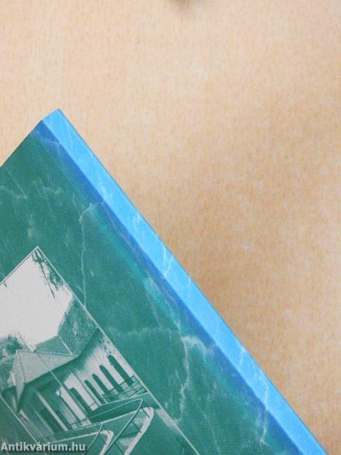 A sárvári kórház története