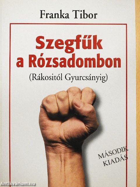 Szegfűk a Rózsadombon